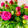 Peony Bunch | Mixed Colours