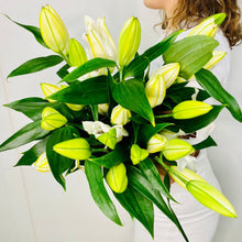  Beautiful White Oriental Lilies - Bunch - Chobham Flowers #3 Stems