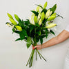 Beautiful White Oriental Lilies - Bunch - Chobham Flowers #5 Stems