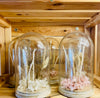 Dried Flower Cloche - Chobham Flowers #Pink