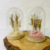 Dried Flower Cloche - Chobham Flowers #Pink