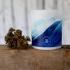 Ocean Breeze Collection - Coastal Pines