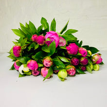  Peony Bunch | Mixed Colours