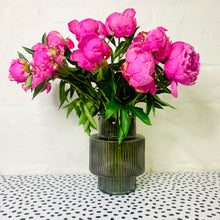  Peony Subscription - 6 Week subscription