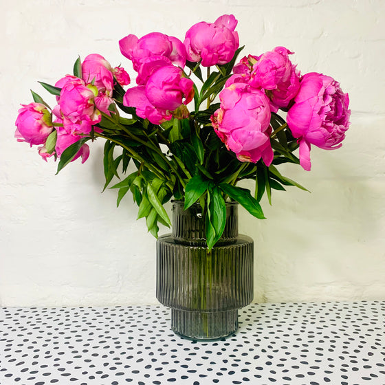 Peony Subscription - 6 Week subscription