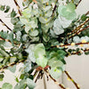 Pussy Willow & Eucalyptus | Handtied Bouquet - Chobham Flowers #Neutral