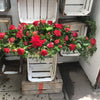 Red Coffin Spray - Funeral Flowers - Chobham Flowers #2/3 ft